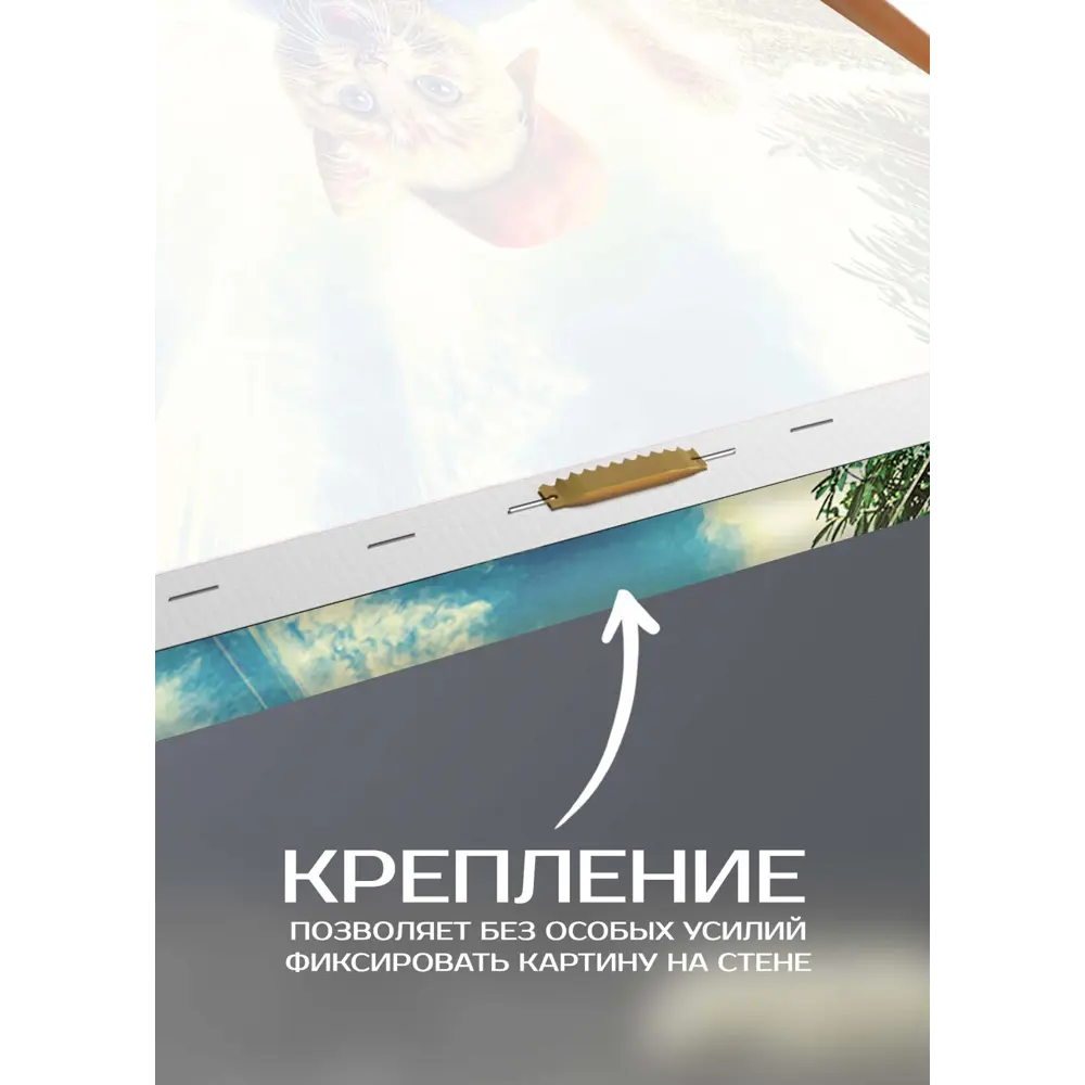 Картина на холсте Кот на скейте 30x30 см FBRUSH STLM-2170859 - Вид №4