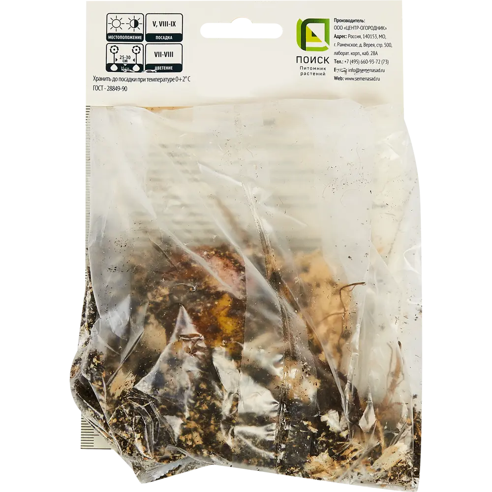 Лилия восточная Ауратум Голд Бэнд ПОИСК STLM-2018319 - Вид №1