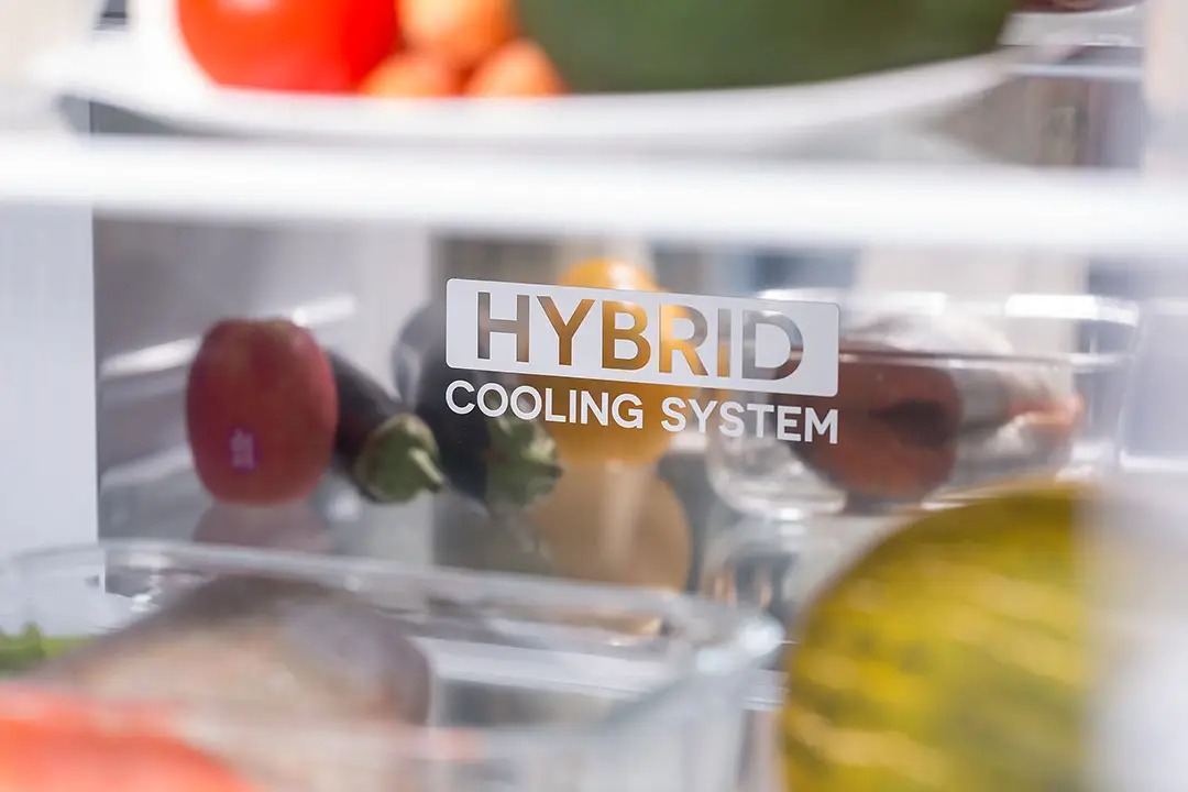 8184142 Холодильник с морозильником   Sharp SJXG60PGRD бордовый STDN-0023714 - Вид №6