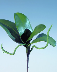 5859 883 a2 Листья искусственных орхидей с корнем, 25 см, зеленые H-andreas