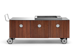 Открытая кухня из красного дерева