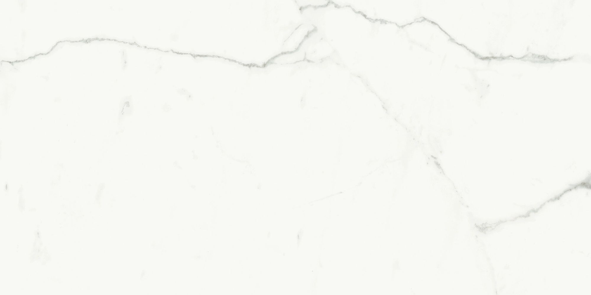 Пол / облицовка керамогранита с мраморным эффектом для интерьера ARIOSTEA MARBLE ACTIVE ARCH-00025854 - Вид №9