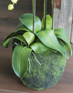 2858 777 a3 Пластиковая орхидея Phalaenopsis с 'почвой', 4-х кратная, 100 см, real touch, белая H-andreas