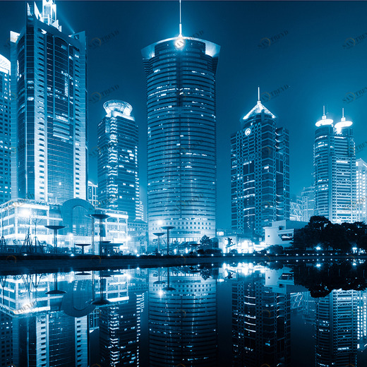 D2-025 Фотообои DIVINO Collection D 2.7х м D2025