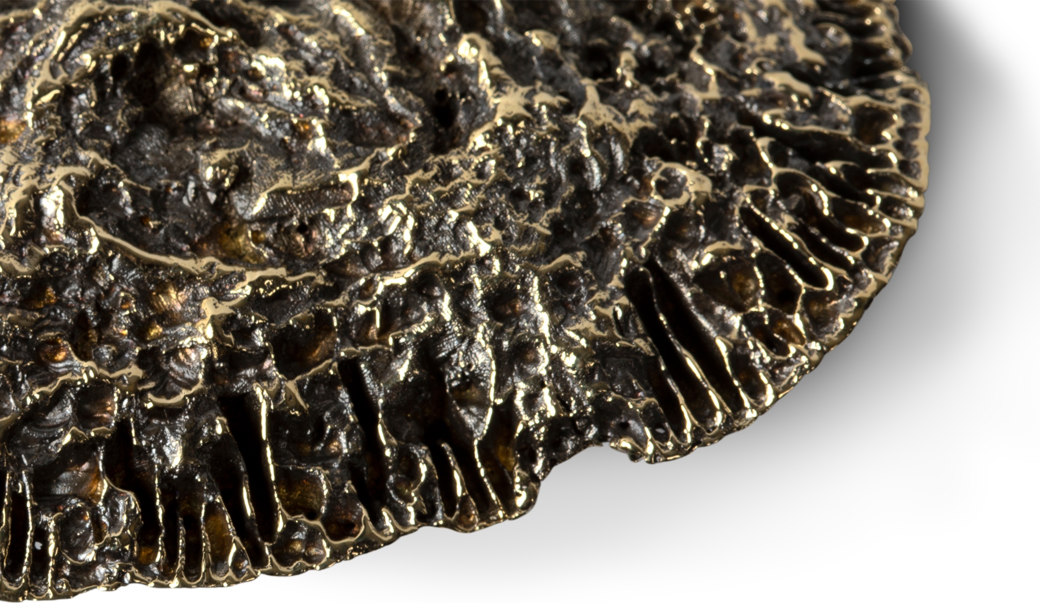 EA1034 Fungi PULLCAST Earth Collection  - Вид №4