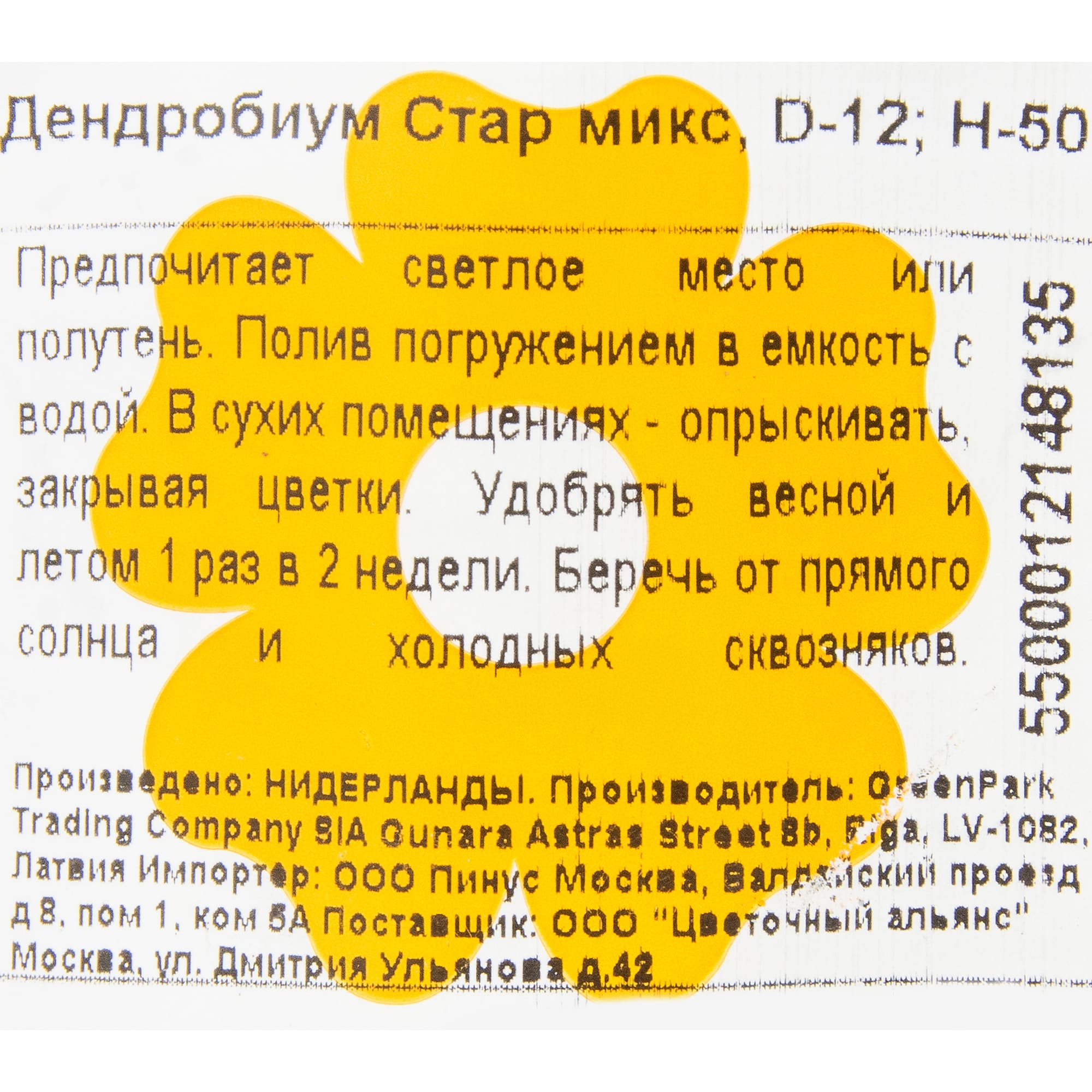 18785707 Орхидея Дендробиум Стар микс 1 стебель ø12 h50 см Santreyd  - Вид №2