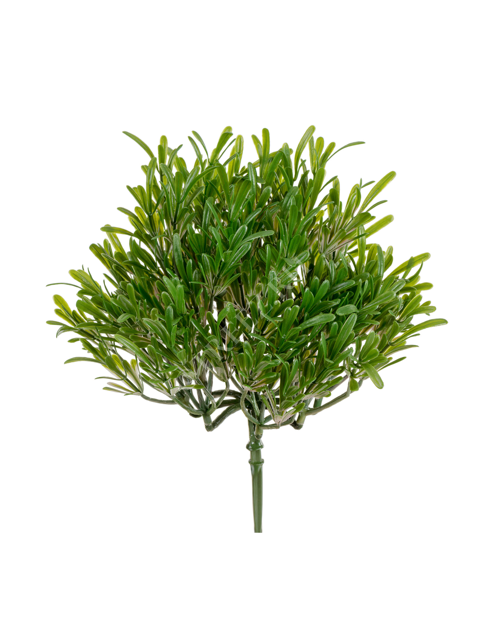 20.0219067GPN Трава Розмари Фэт куст (2 размера) Цветочная коллекция  - Вид №2