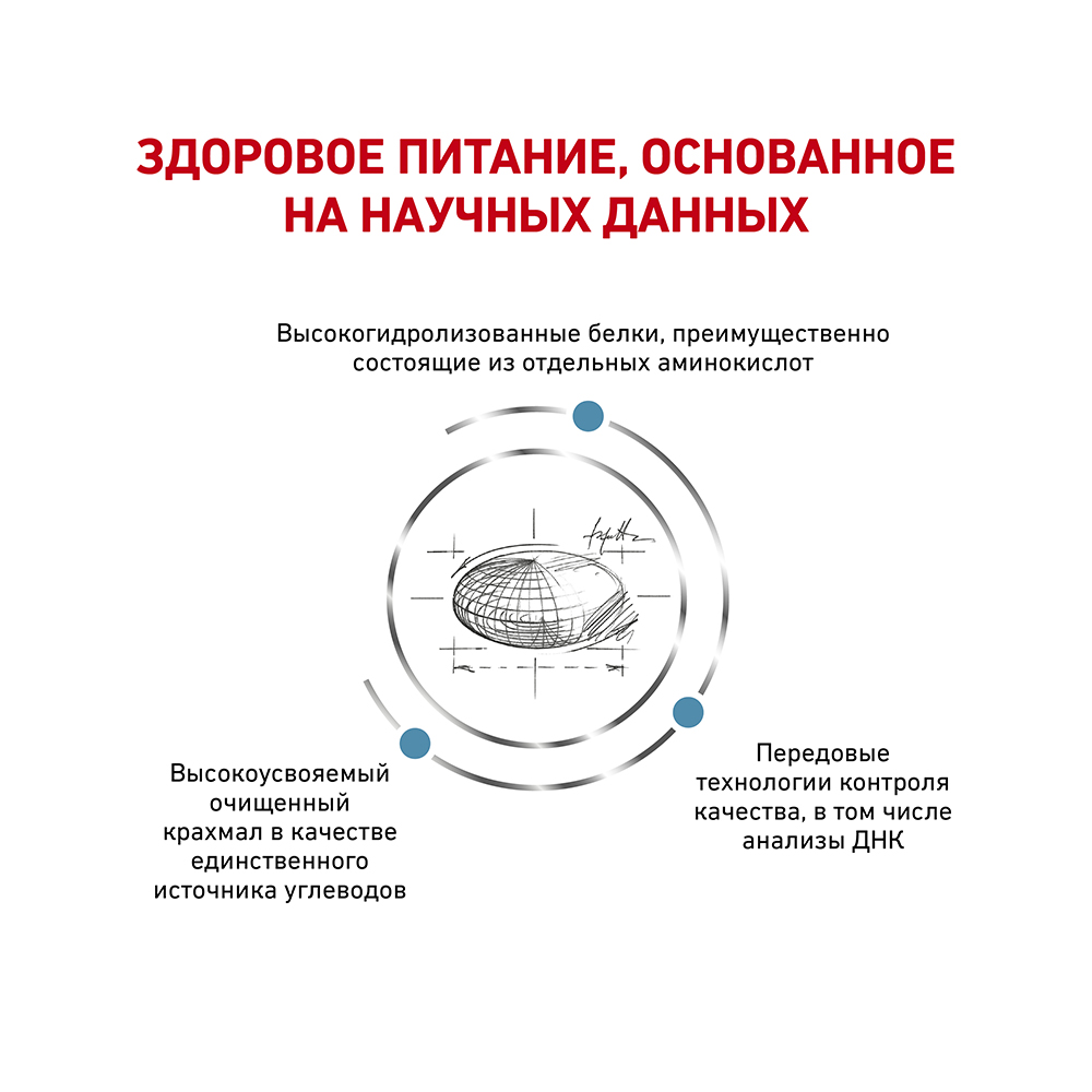 ПР0018795 Корм для собак Vet Diet Anallergenic AN18 при пищевой аллергии сух. 8кг ROYAL CANIN  - Вид №3