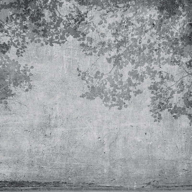 WP08013A Обои декоративные Adriani e Rossi  - Вид №1