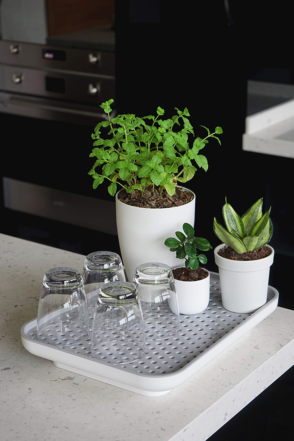 Лоток для полива растений Oasis Tray белый Qualy QL10309WHGN - Вид №2