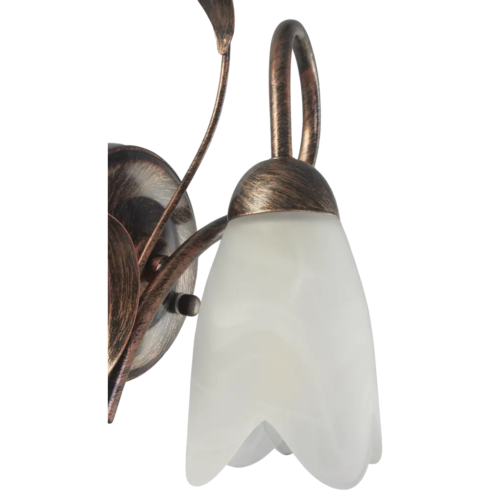 Бра Аида 1xE14x60 Вт, металл/стекло, цвет чёрный/белый MW-Light STLM-2191822 - Вид №3