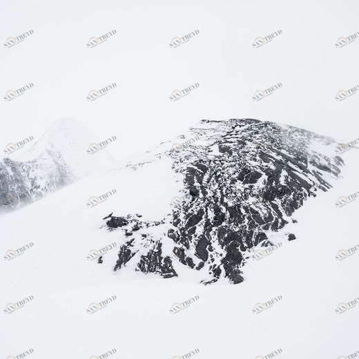 WP00383 Фотообои Verol Фотообои decoline 1х1 м