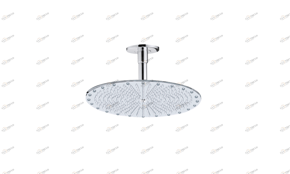 H29601 Потолочный & настенный душ Paris-Oki BOSSINI 