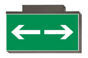 DST-769 Lisu ceiling-mounted Daisalux Светильники аварийные Металлический Серый