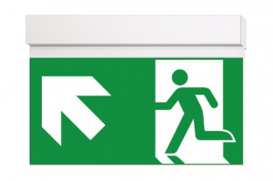 DST-1562 Ikus 320-t Daisalux Светильники сигнальные Белый