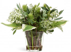 2000983190161 Композиция green lifestyle малая Cosmo red