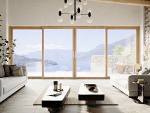 Дверь-окно с тройным остеклением