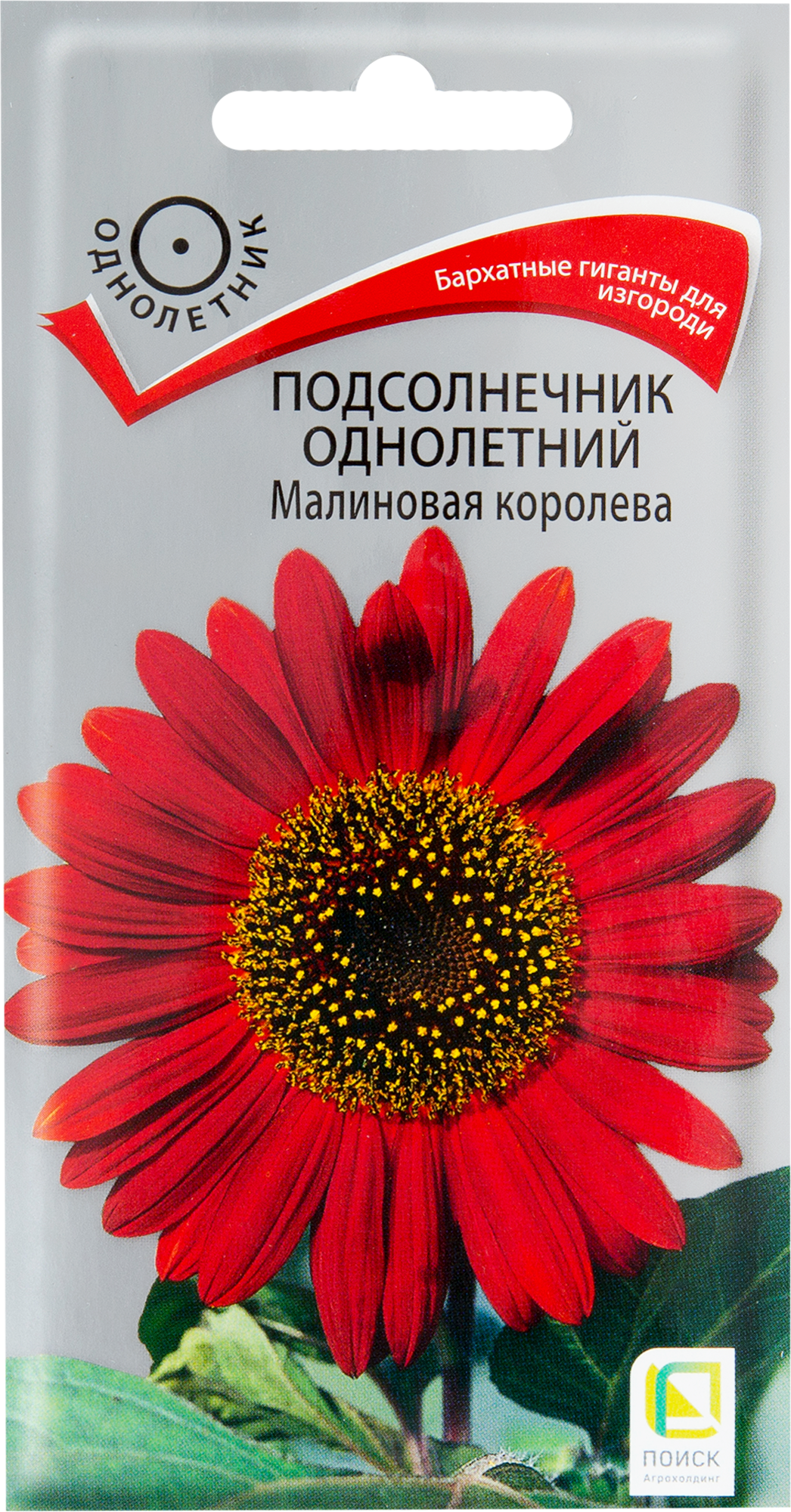 Подсолнечник «Малиновая королева» Santreyd — гигантские бархатные цветы для сада 82102303 STLM-0018953