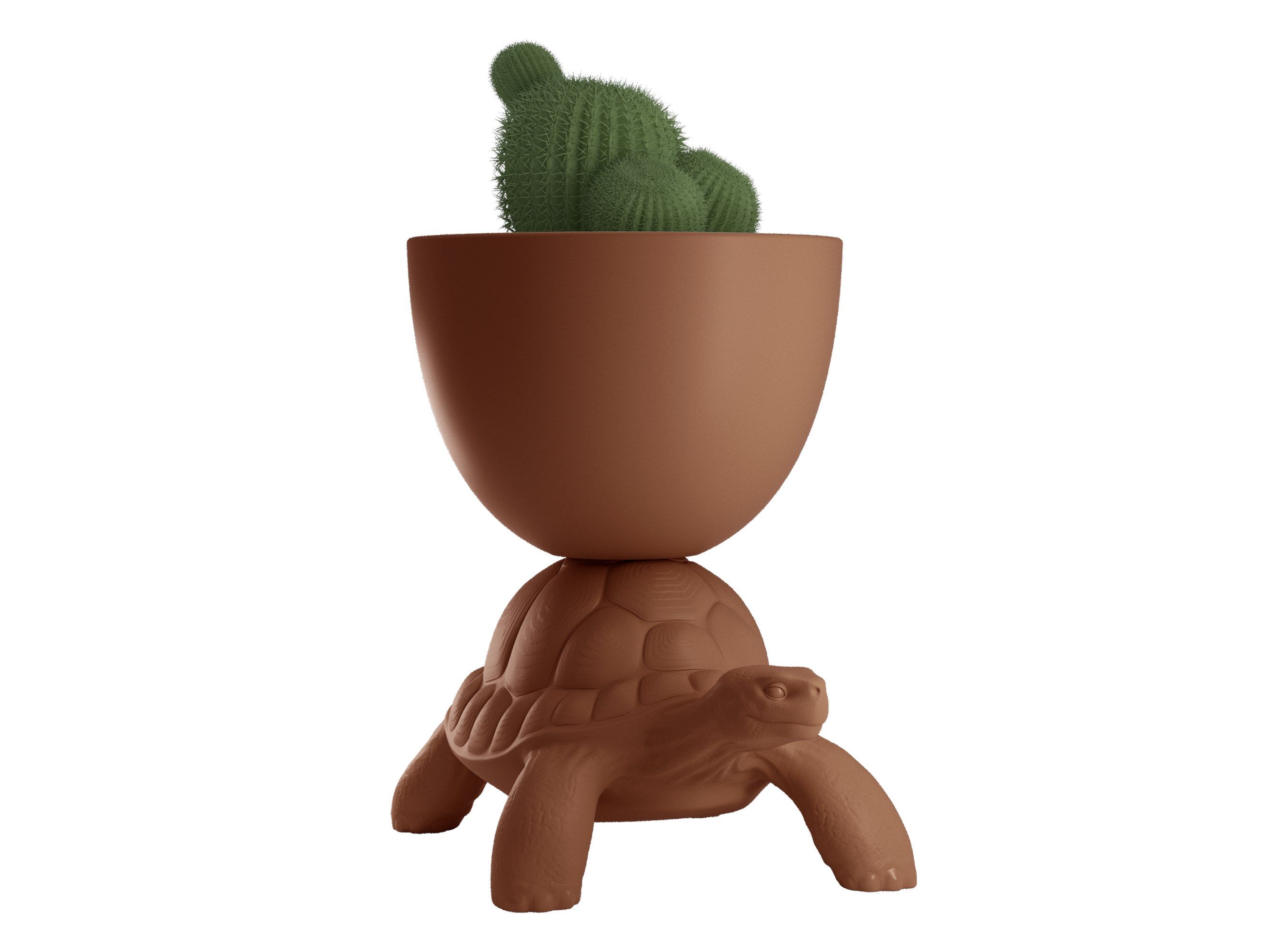 Полиэтиленовая банка Qeeboo Переноска для черепах ARCH-00055361