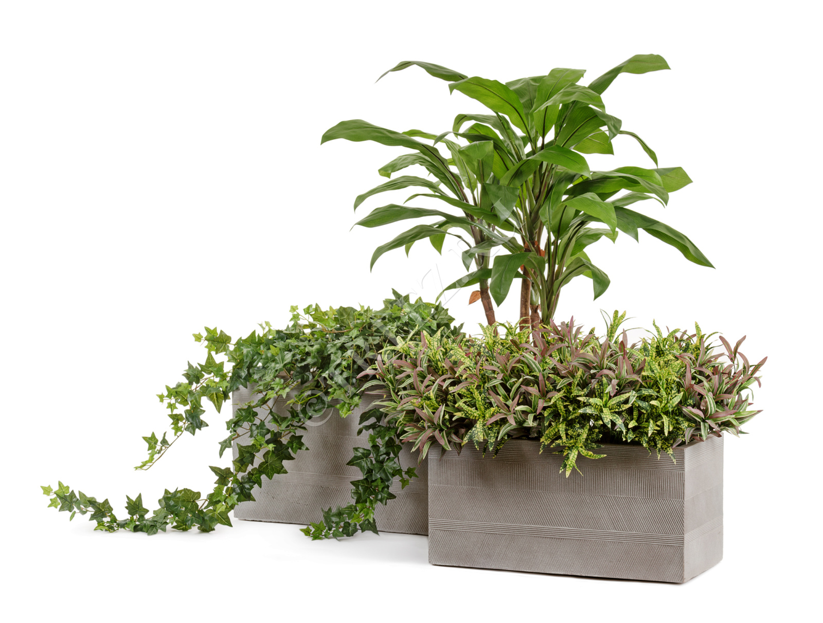 41.1019-0025-LM-60 Кашпо  ERGO - серия Graphics - Низкий прямоугольник - Капучино Цветочная коллекция  - Вид №5