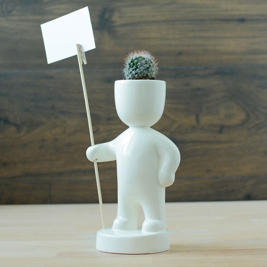 Набор для выращивания eco "Знаменосец" ЭКОЧЕЛОВЕКИ  254608 Белый  - Вид №2