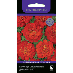 Бархатцы Дуранго Ред ПОИСК - золотистые анемоновидные цветы для сада 83227393