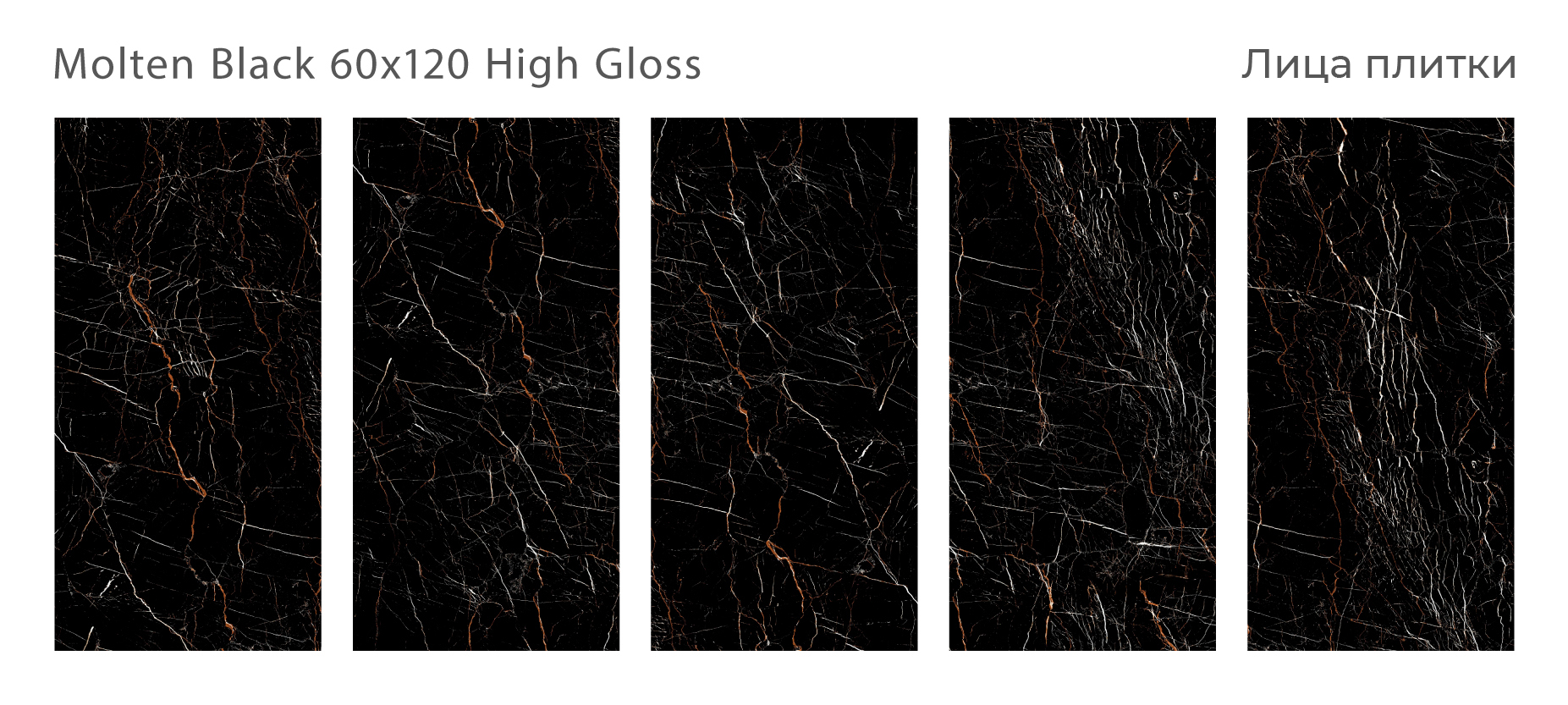 Керамогранит Staro Palacio: Элегантность Черного Мрамора STP-ST490 INCOLOR - Вид №2