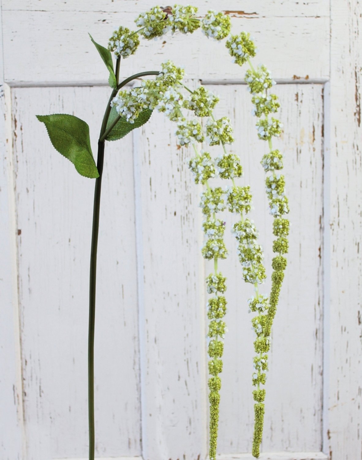 4863 807 a3 Стебель искусственного амаранта, 70 см (105 см), зелено-белый H-andreas  - Вид №1