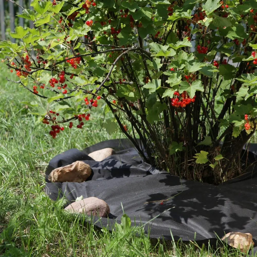 BEGINIA Приствольный круг для деревьев и кустарников 100 см 89404352 STLM-1571914 - Вид №4