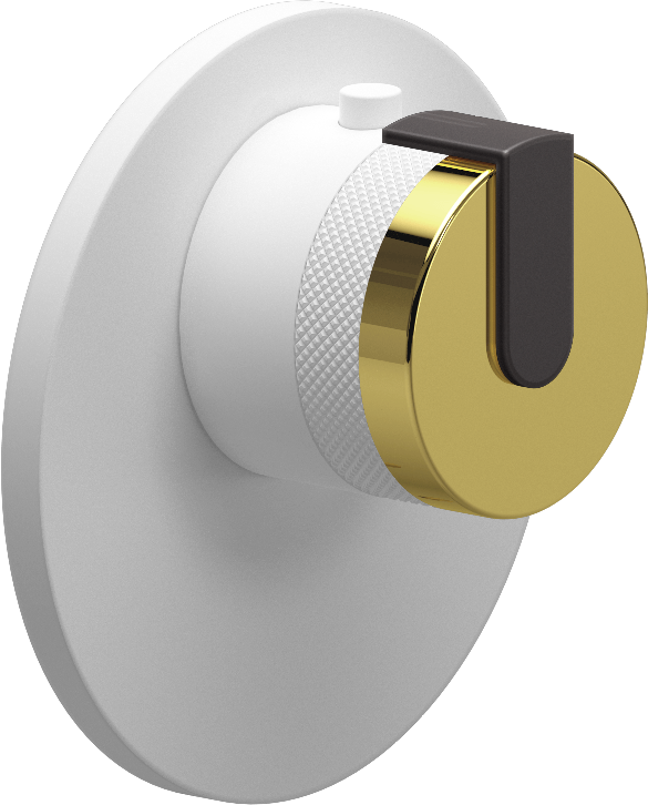 E-8027-R1AUE-L1GM-WT-T Термостатический переключатель 3/4-Внешняя часть GRAFF MOD+