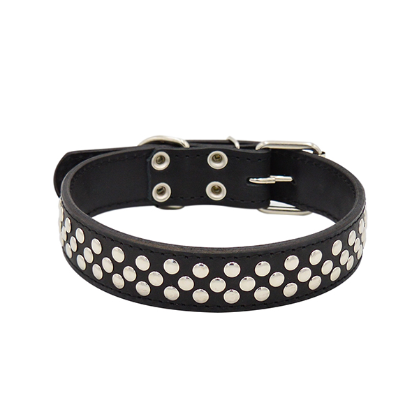 ПР0048214 Ошейник для собак Клепка 2сл 36мм 60см черный ZOOEXPRESS 