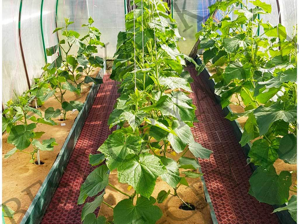 Мульча кокосовая Мульчаграм 0,75x3 м ГеоПластБорд GPBST-235 - Вид №4