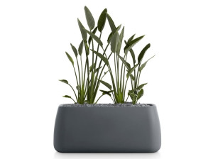 Прямоугольная плантатор