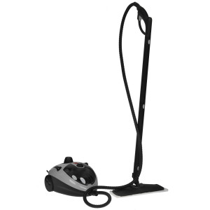 9116880 Пароочиститель DEXP FSC-1500G серый