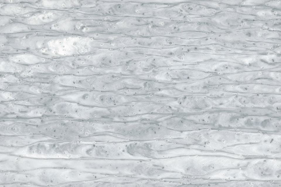 Столешницы для кухни - Помпео