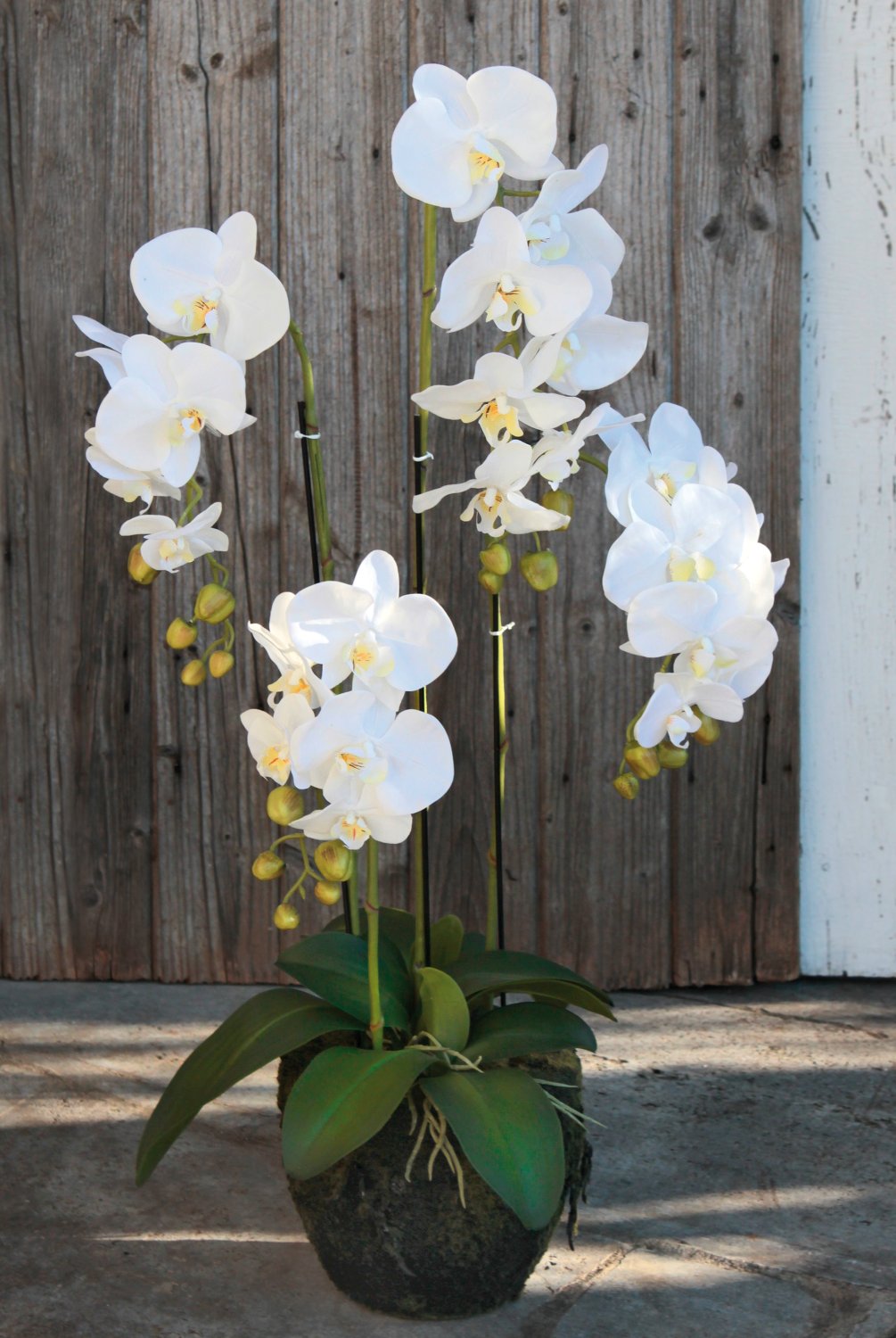 2858 777 a3 Пластиковая орхидея Phalaenopsis с 'почвой', 4-х кратная, 100 см, real touch, белая H-andreas 
