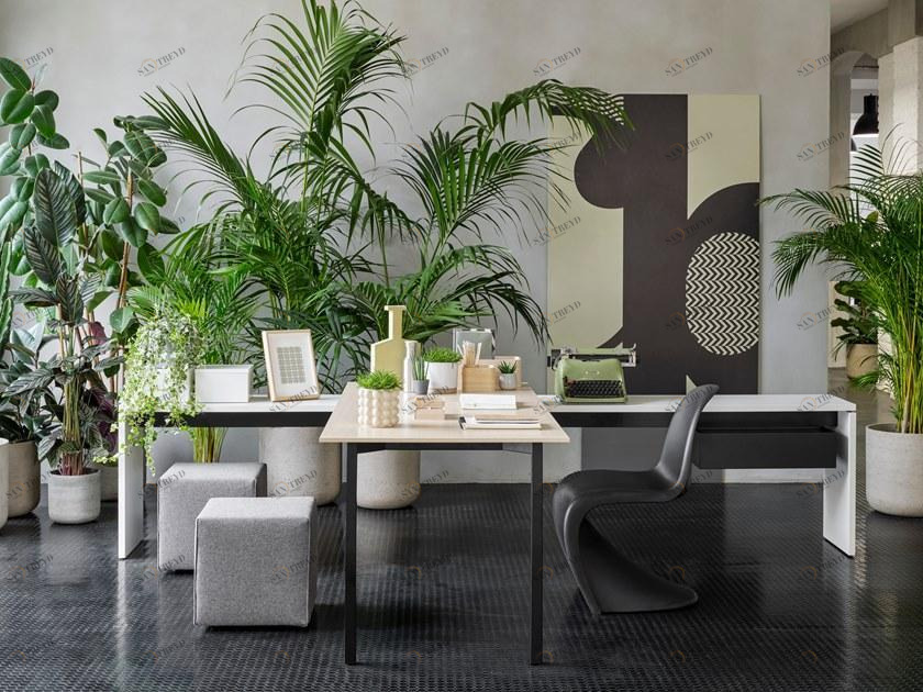 Citterio Индивидуальное рабочее место с системой управления кабелями Bridge sun-id-1386961