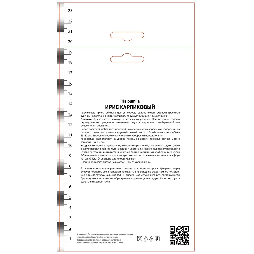 Ирис карликовый Демон 89452209 STLM-2210648 ПОИСК 