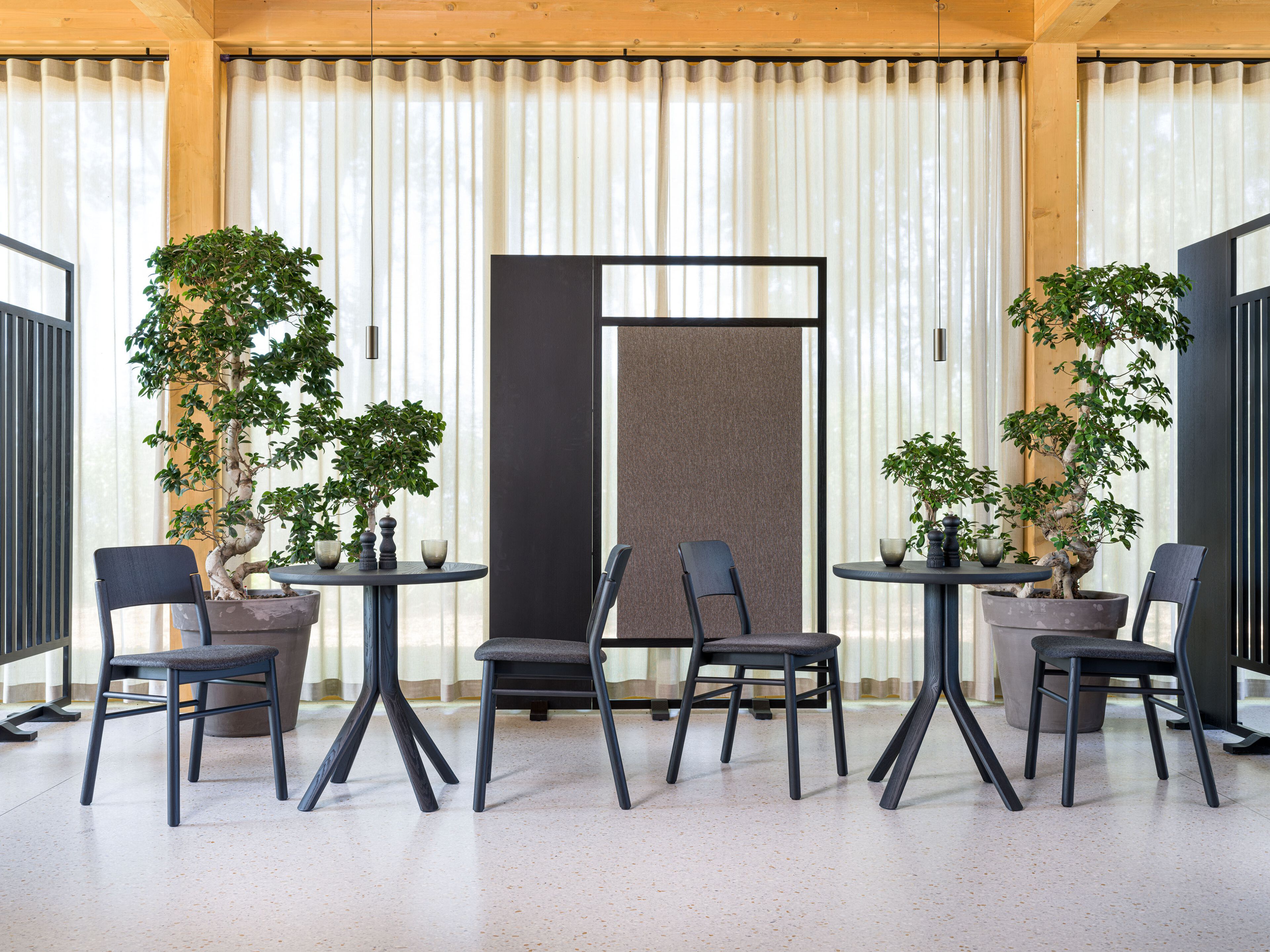 Деревянный стул с мягким сиденьем SIPA ARCH-00082050 - Вид №5