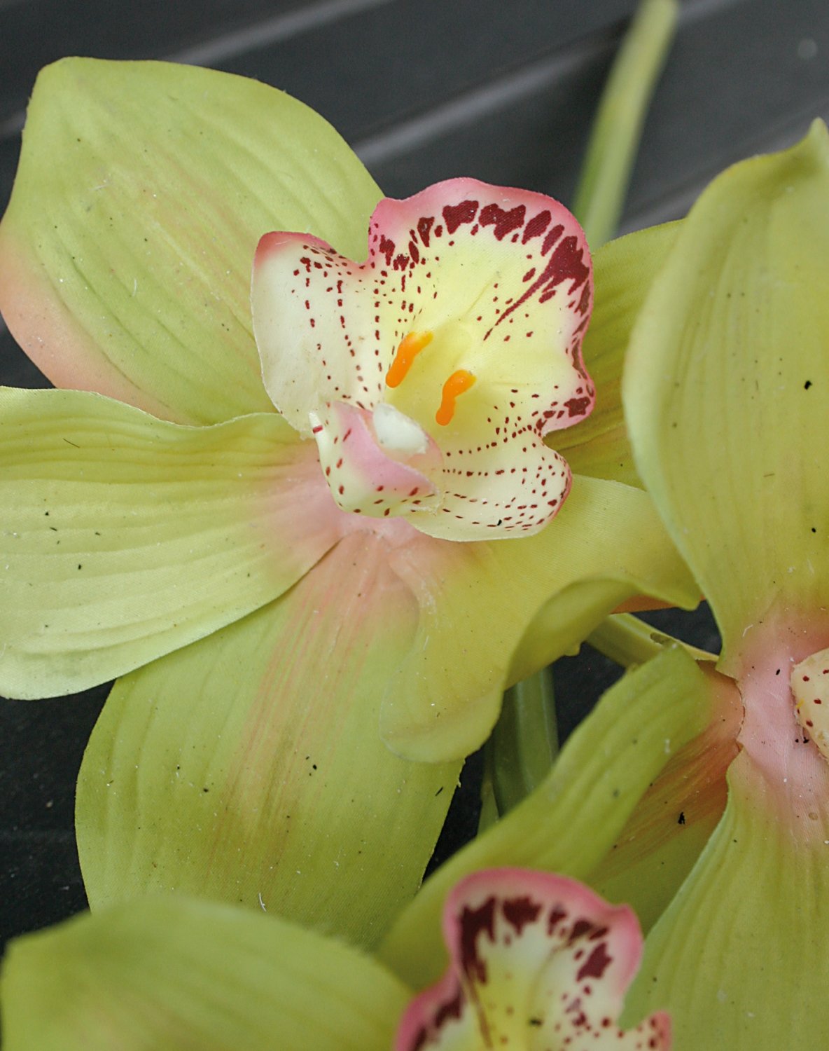 2583 883 a2 Цимбидиум искусственная орхидея, 46 см, real touch, зеленый H-andreas 