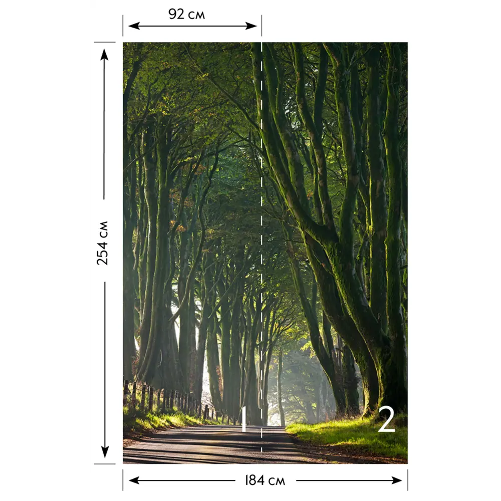 Фотообои бумажные «Королевская дорога» 184х254 см POSTERMARKET STLM-2079270 - Вид №2