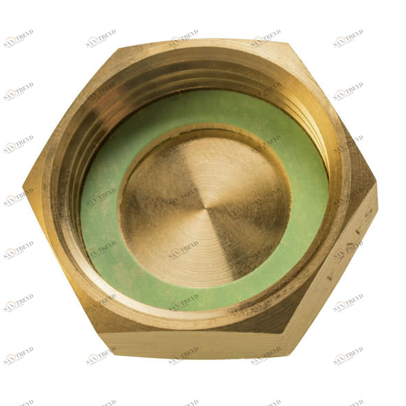 133021 SANHA 3302 PURAFIT колпачок ВР 1 мм 