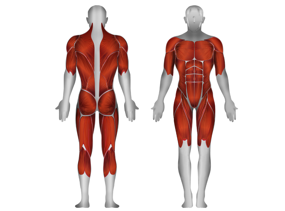 Steel flex club line clscc кроссовер Steel Flex Club Line sun-id-2068645 - Вид №1