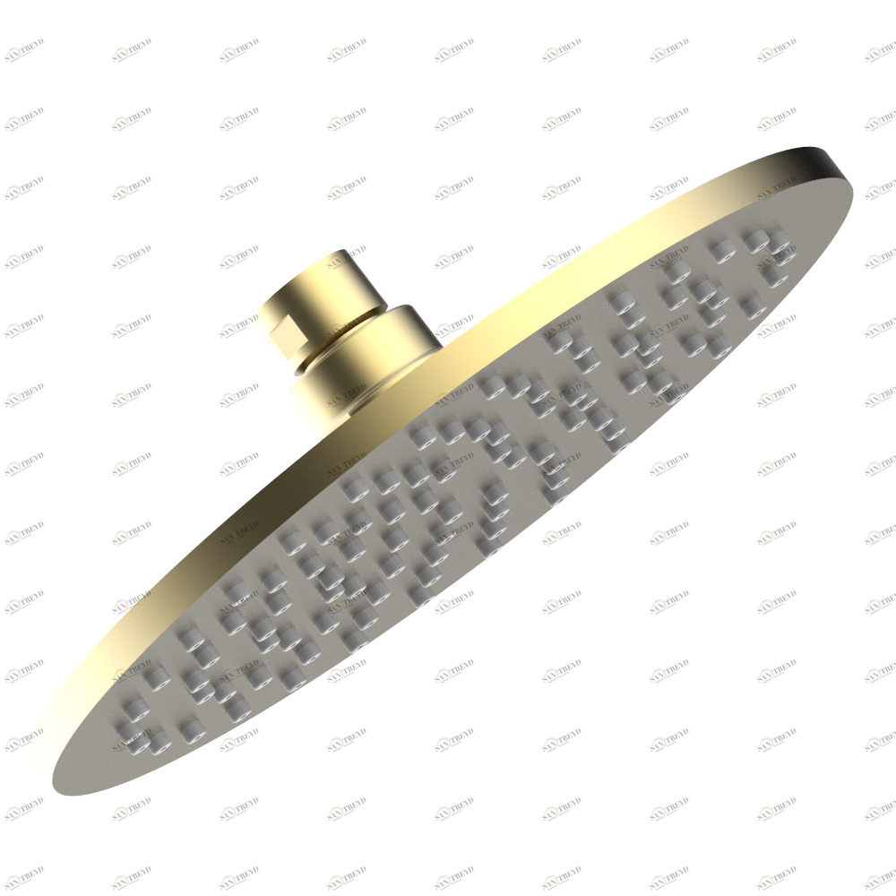 G00-281EP Душ верхний плоский 1/2" Ø 200 мм с защитой от жесткой воды Thg-paris прочие артикулы THG Покрытие PVD матовая латунь G00 281EP CAT.F