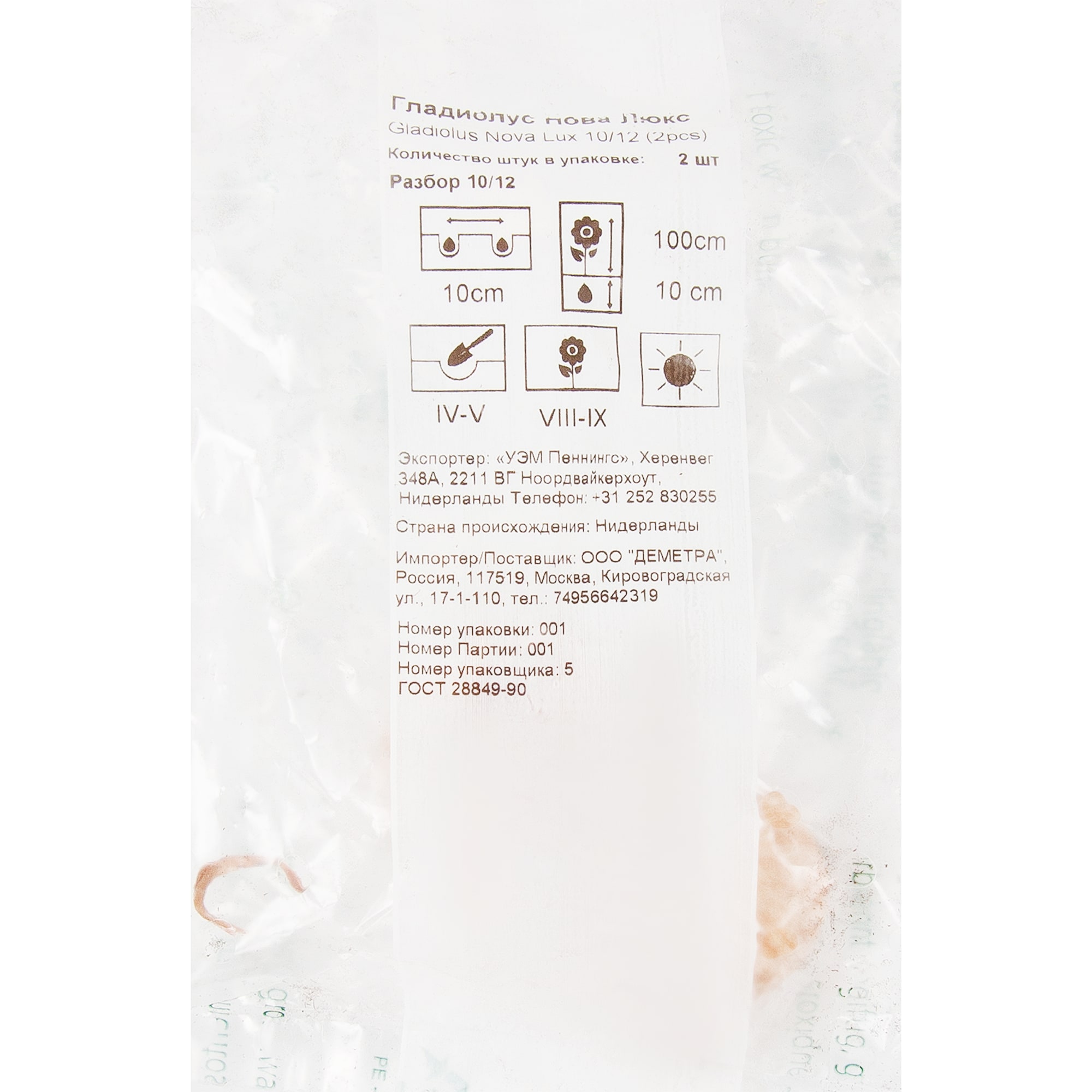 83760974 Гладиолус Нова луковица 10/12 Santreyd 