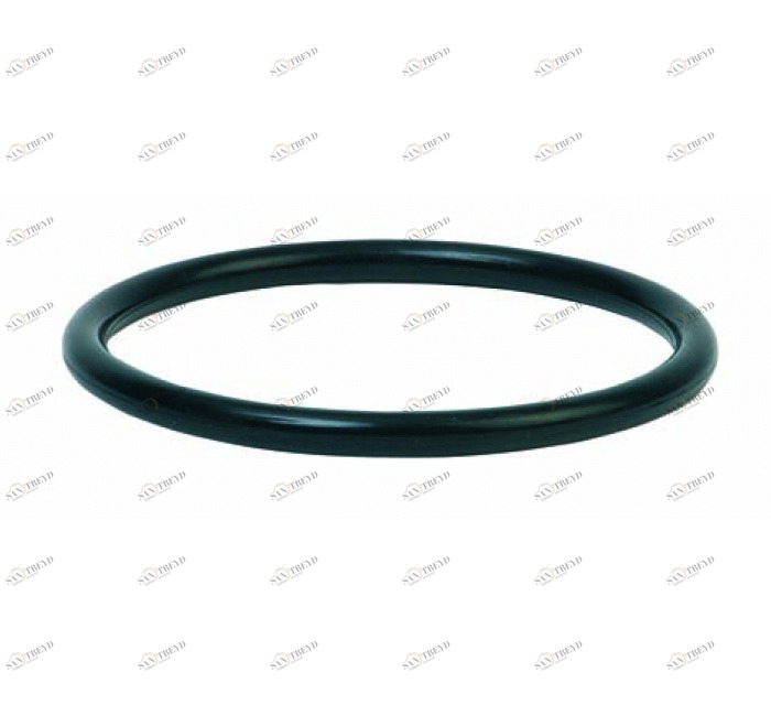 GENEBRE 0061 10 O’ring 