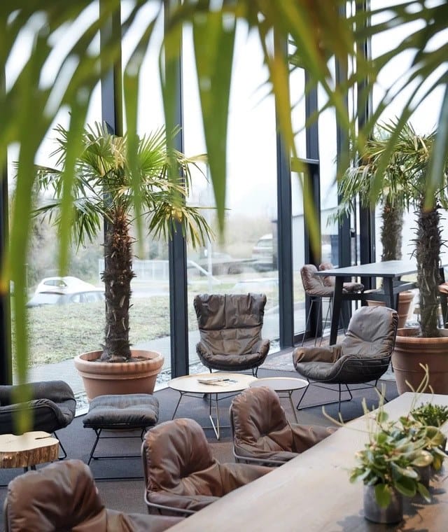 Кожаное кресло-качалка с подлокотниками Freifrau Leyasol ARCH-00047166 - Вид №3