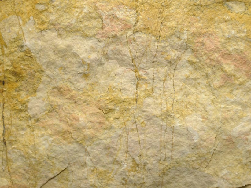 Натуральный каменный элемент для фасада B&B Rivestimenti Naturali камень ARCH-00041066 - Вид №3