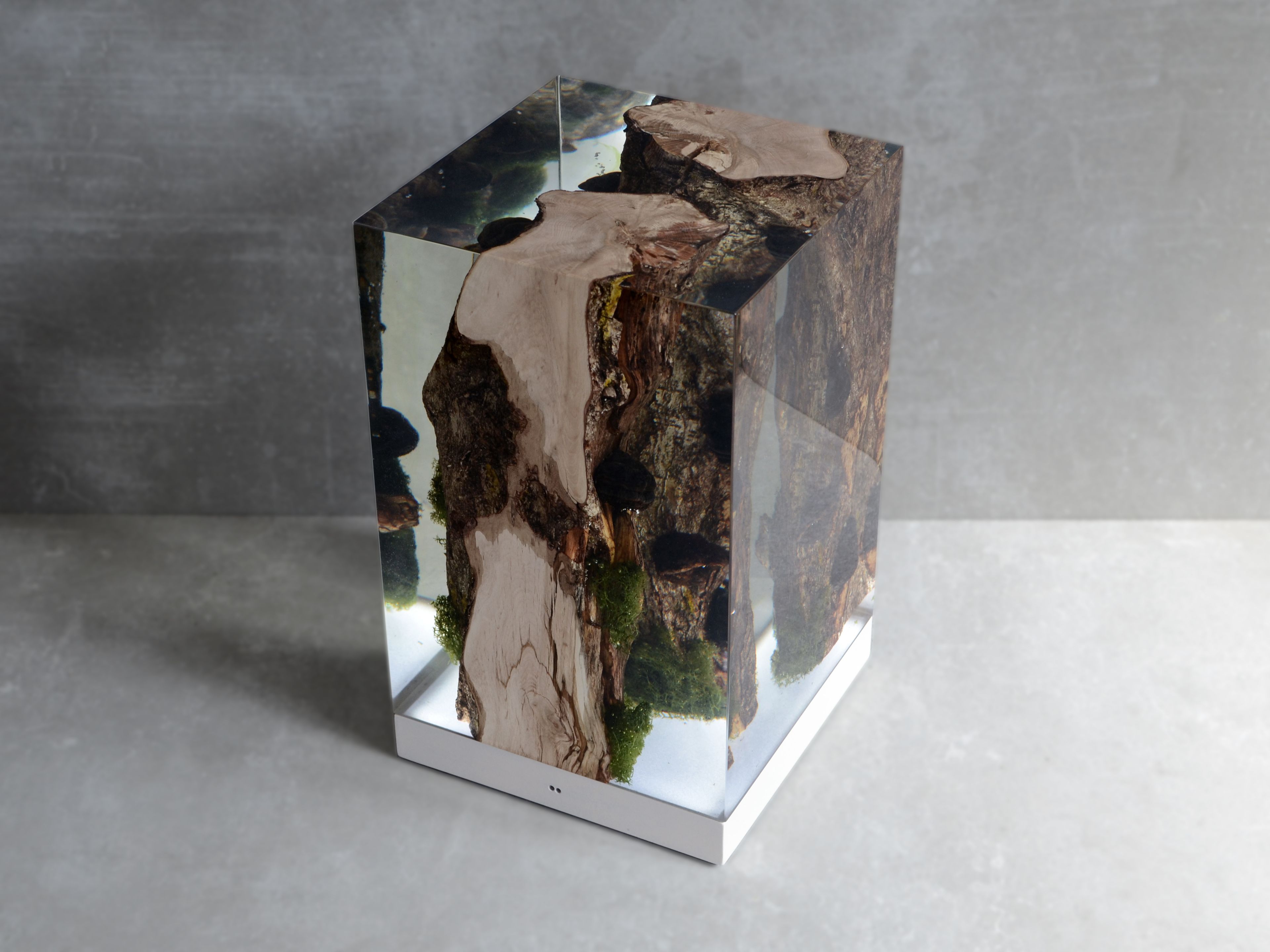 Светодиодная настольная лампа alcarol Подлесок ARCH-00036620 - Вид №2