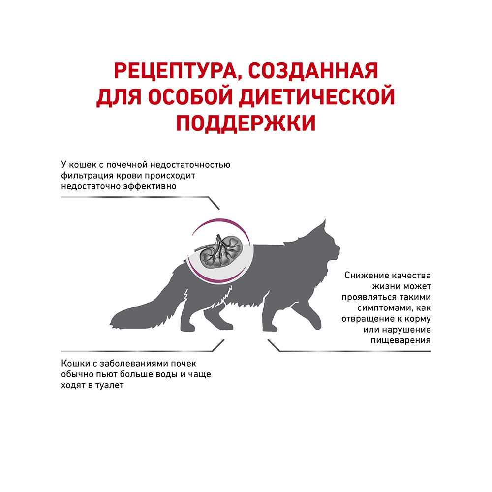 ПР0056390 Корм для кошек Vet Diet Renal Special при хронической почечной недостаточности сух. 400г ROYAL CANIN  - Вид №2
